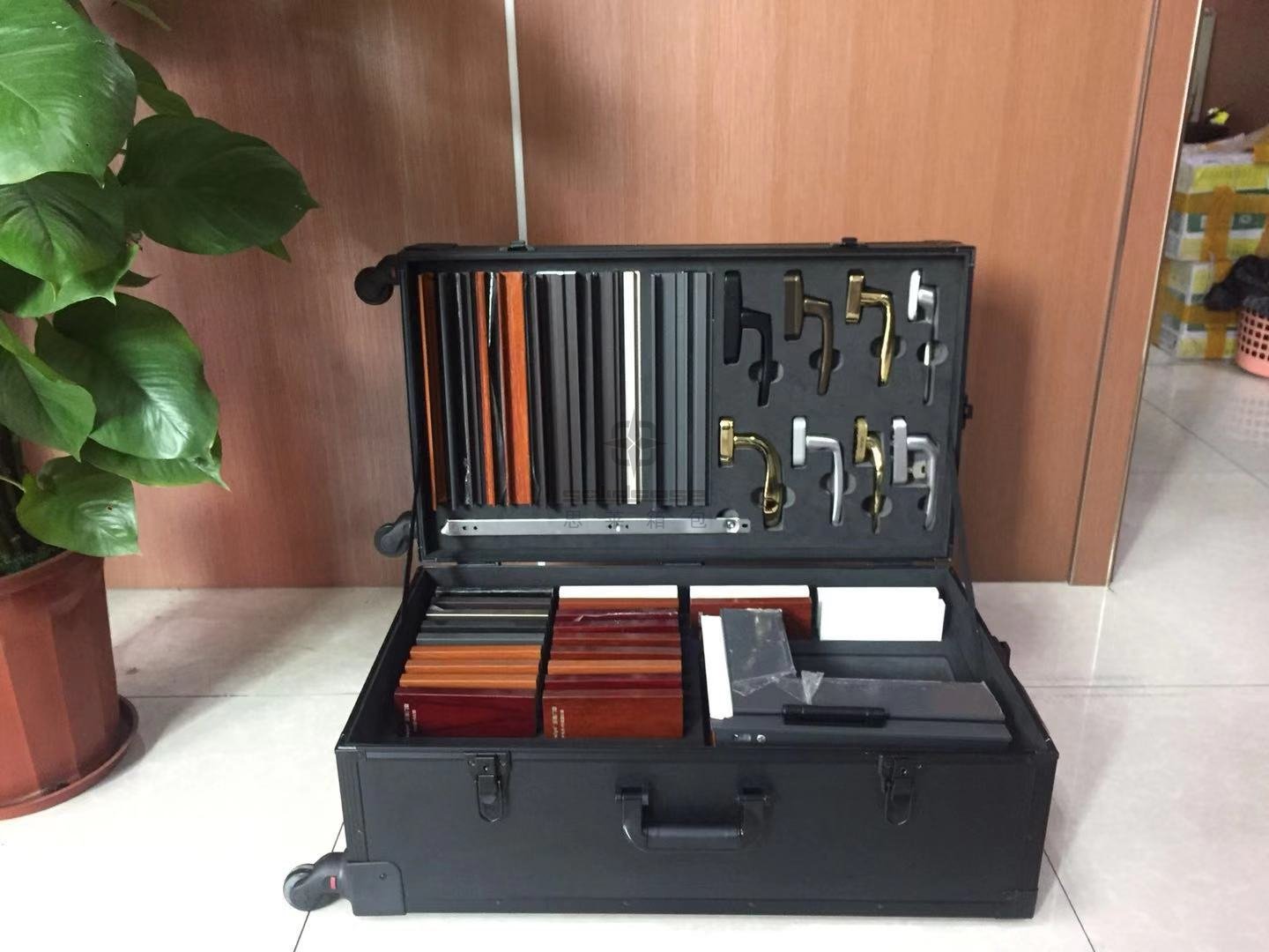 XϽչʾT(mn)չʾUf(wn)݆չʾ